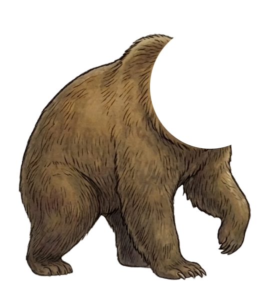 Bear Body