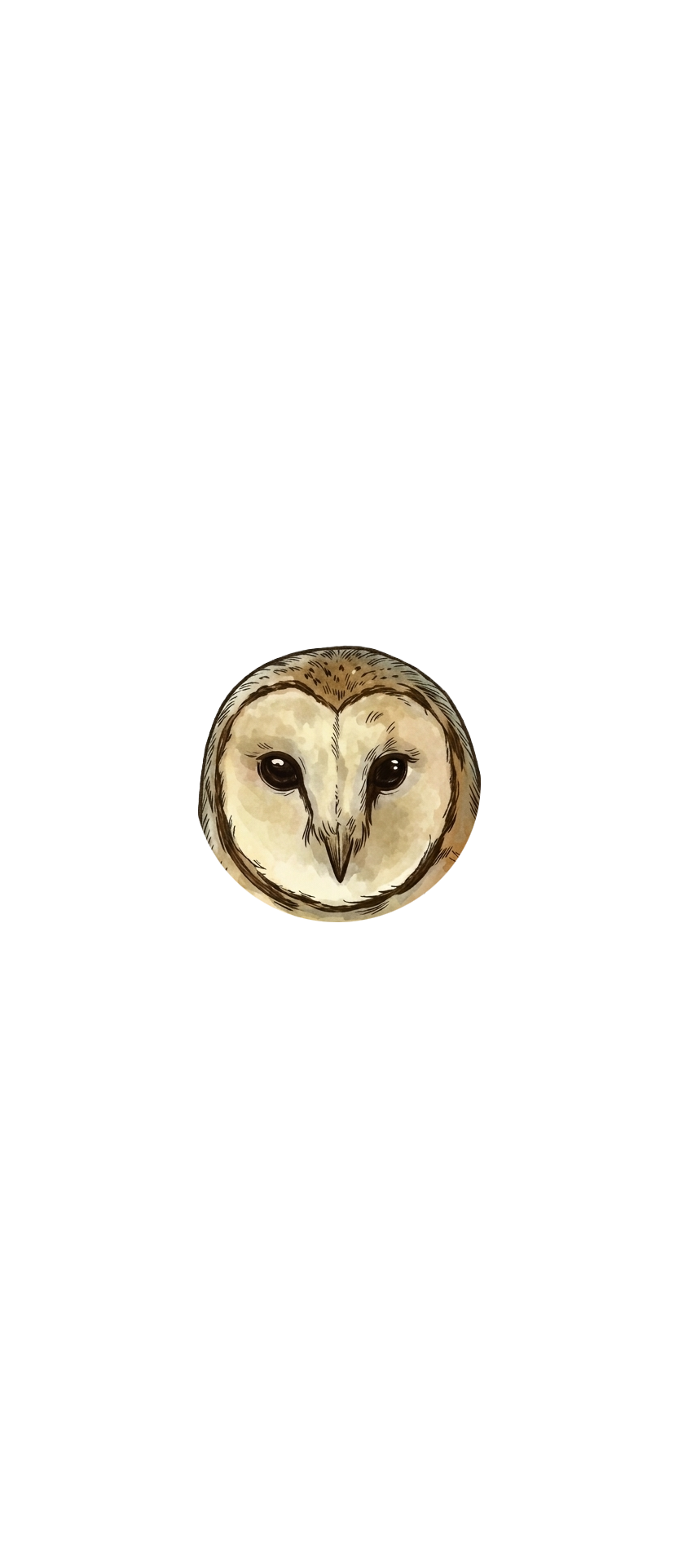 Owl Head