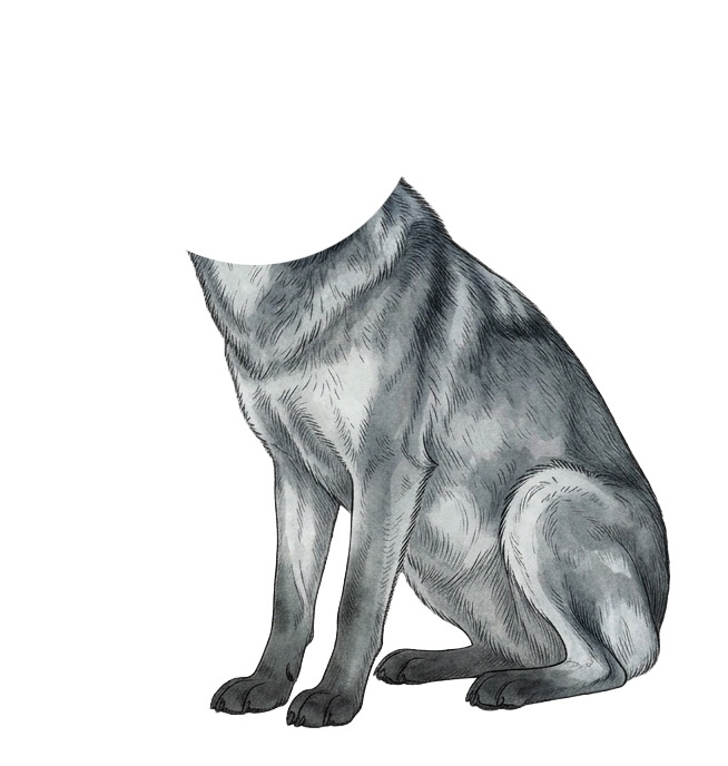 Wolf Body