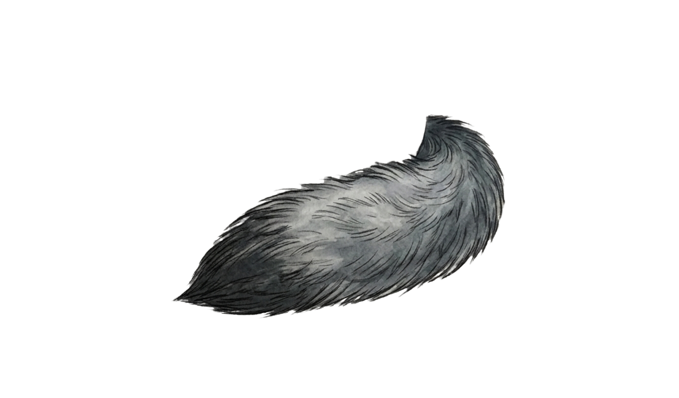 Wolf Tail